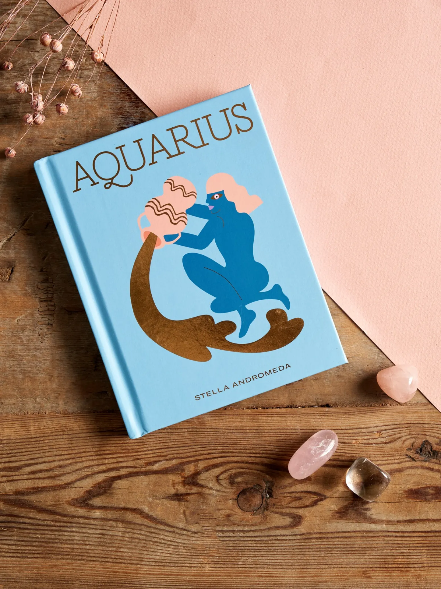 Søstrene Grene Schweiz Coffee Table Books<Aquarius