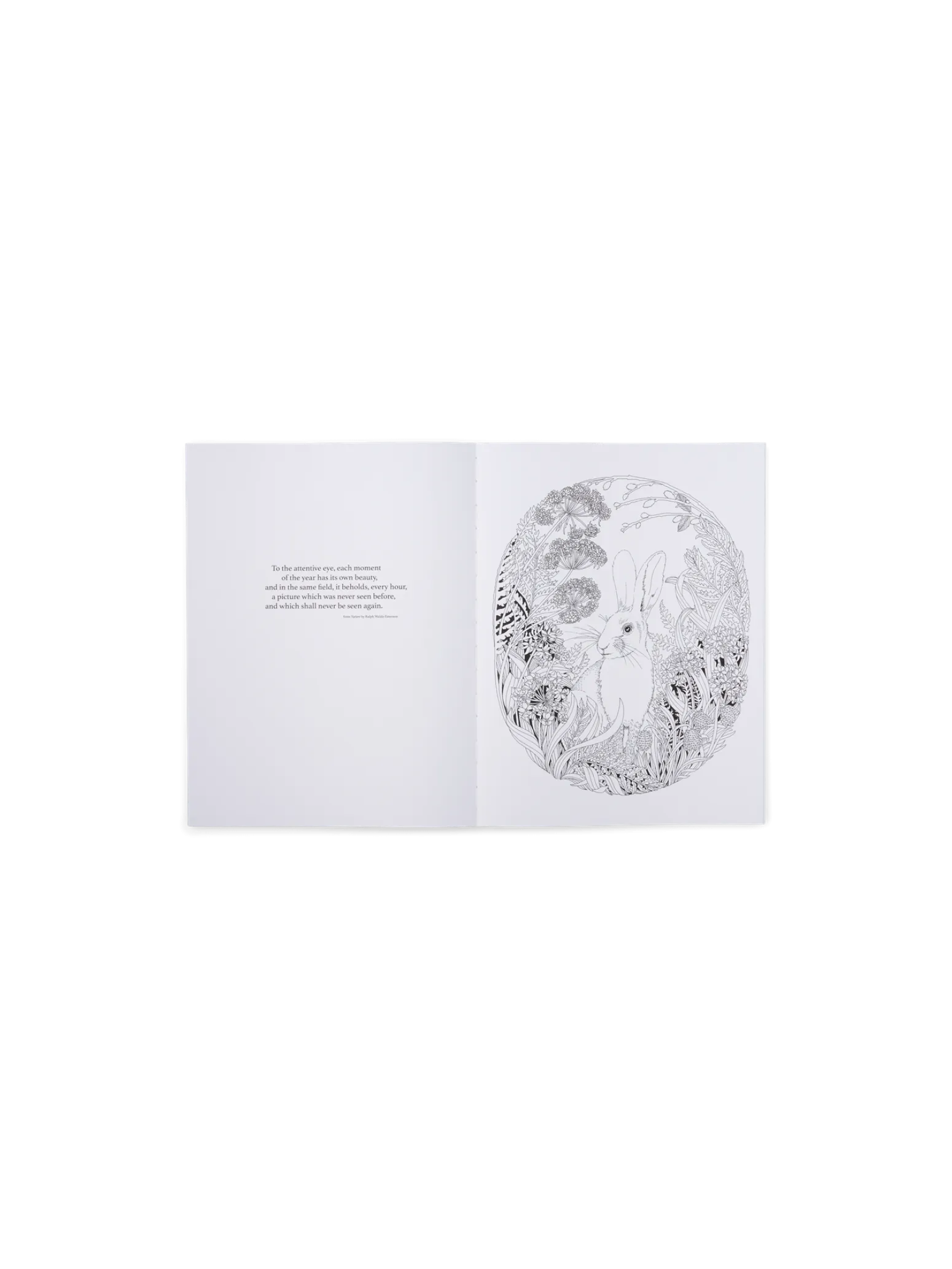 Søstrene Grene Schweiz Coffee Table Books<Beautiful Planet Malbuch