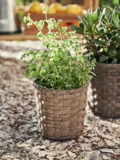 Søstrene Grene Schweiz Vasen Und Blumentöpfe|Garten Und Balkon<Übertopf