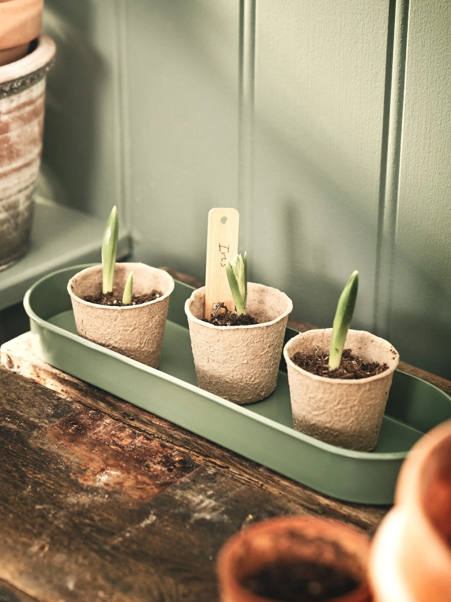 Søstrene Grene Schweiz Vasen Und Blumentöpfe|Garten<Biologisch Abbaubare Anzuchttöpfe