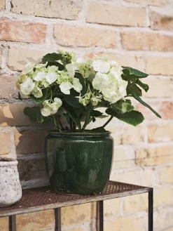 Søstrene Grene Schweiz Vasen Und Blumentöpfe|Garten<Blumentopf