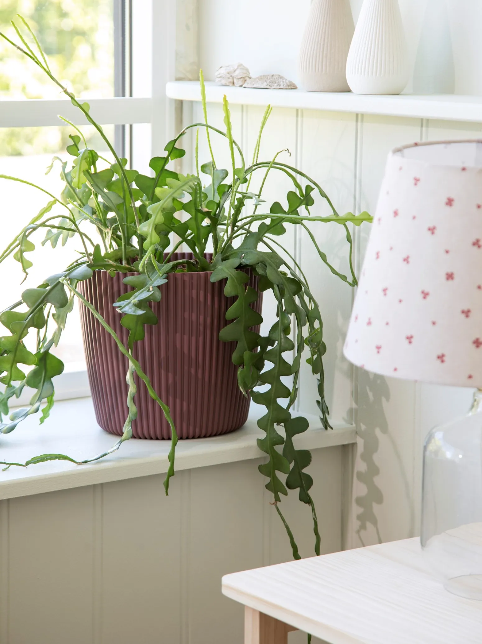 Søstrene Grene Schweiz Vasen Und Blumentöpfe<Blumentopf Milly Ø23,6 Cm