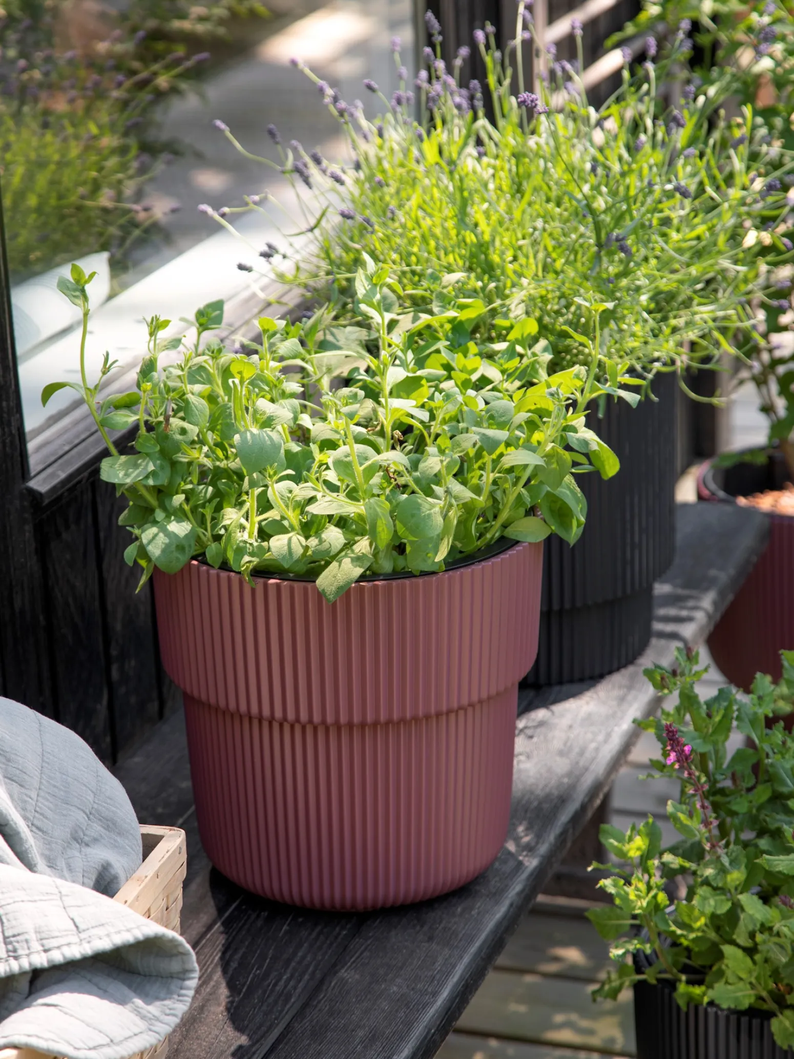 Søstrene Grene Schweiz Vasen Und Blumentöpfe<Blumentopf Milly Ø29,9 Cm