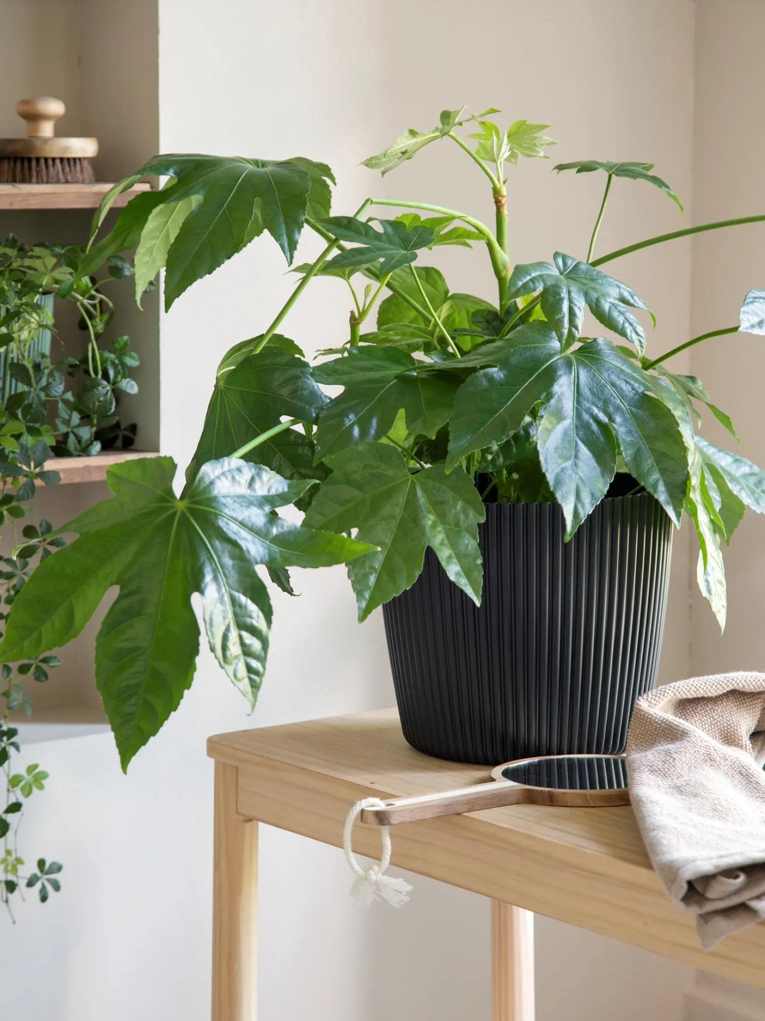 Søstrene Grene Schweiz Vasen Und Blumentöpfe<Blumentopf Milly Ø23,6 Cm