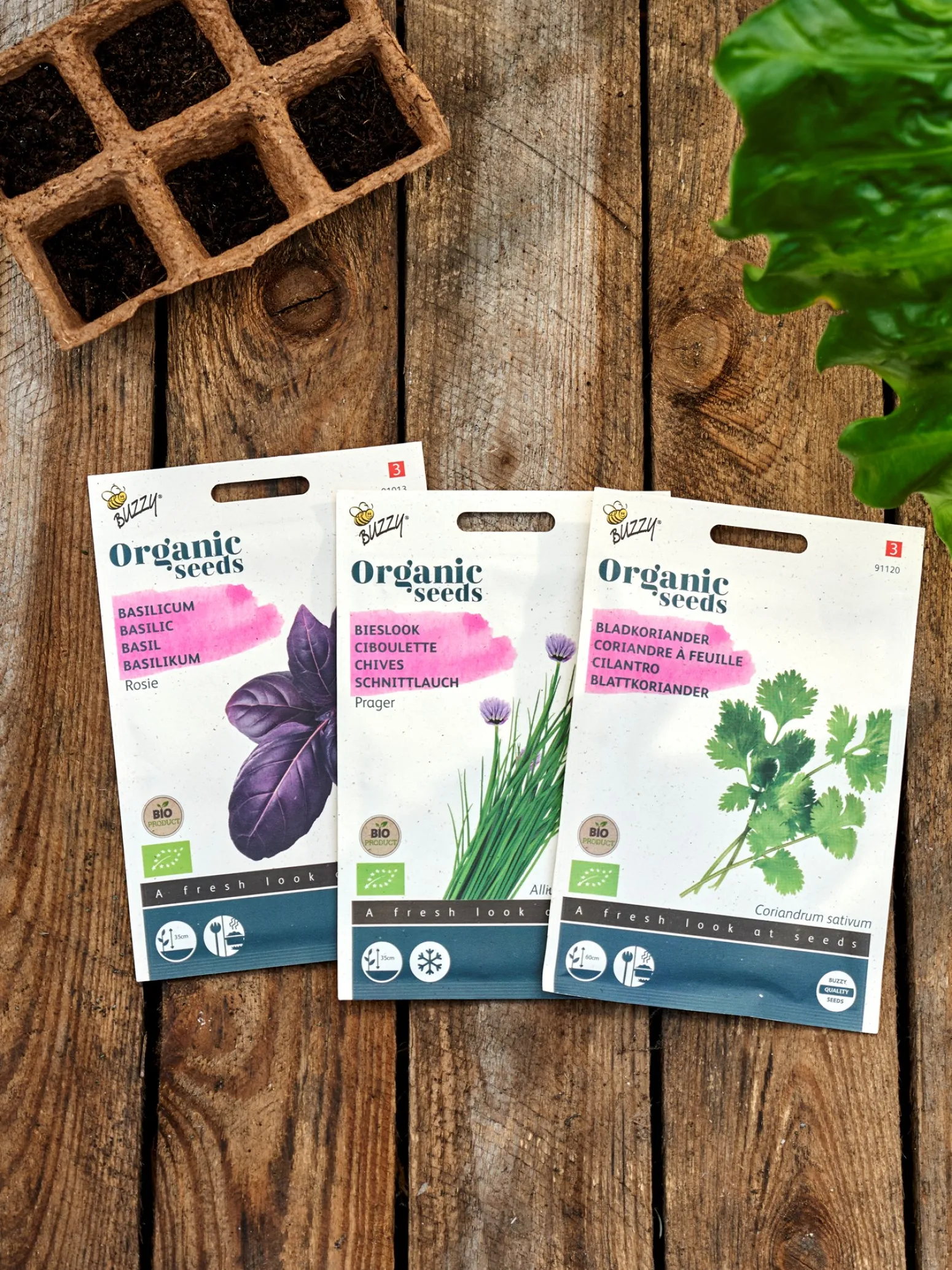 Søstrene Grene Schweiz Garten|Garten Und Balkon<Buzzy® Bio-Koriander