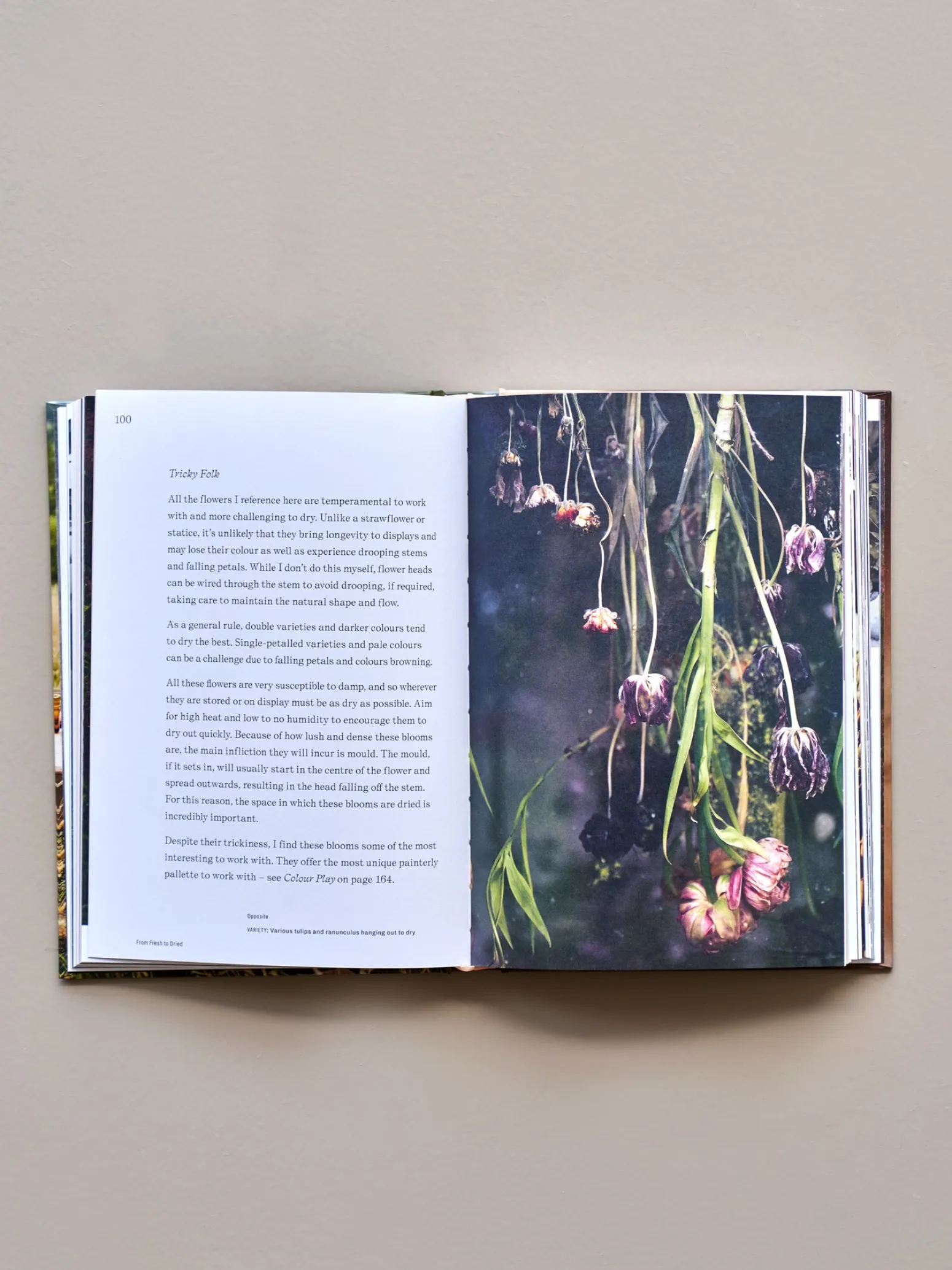 Søstrene Grene Schweiz Coffee Table Books<Forever Flowers