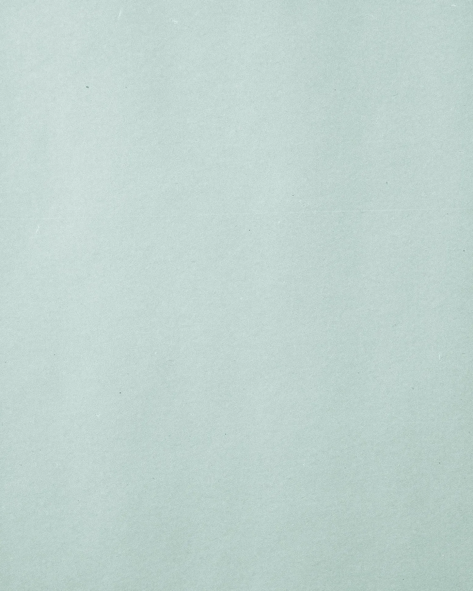Søstrene Grene Schweiz Geschenkpapier|Geschenkpapier<Geschenkpapier