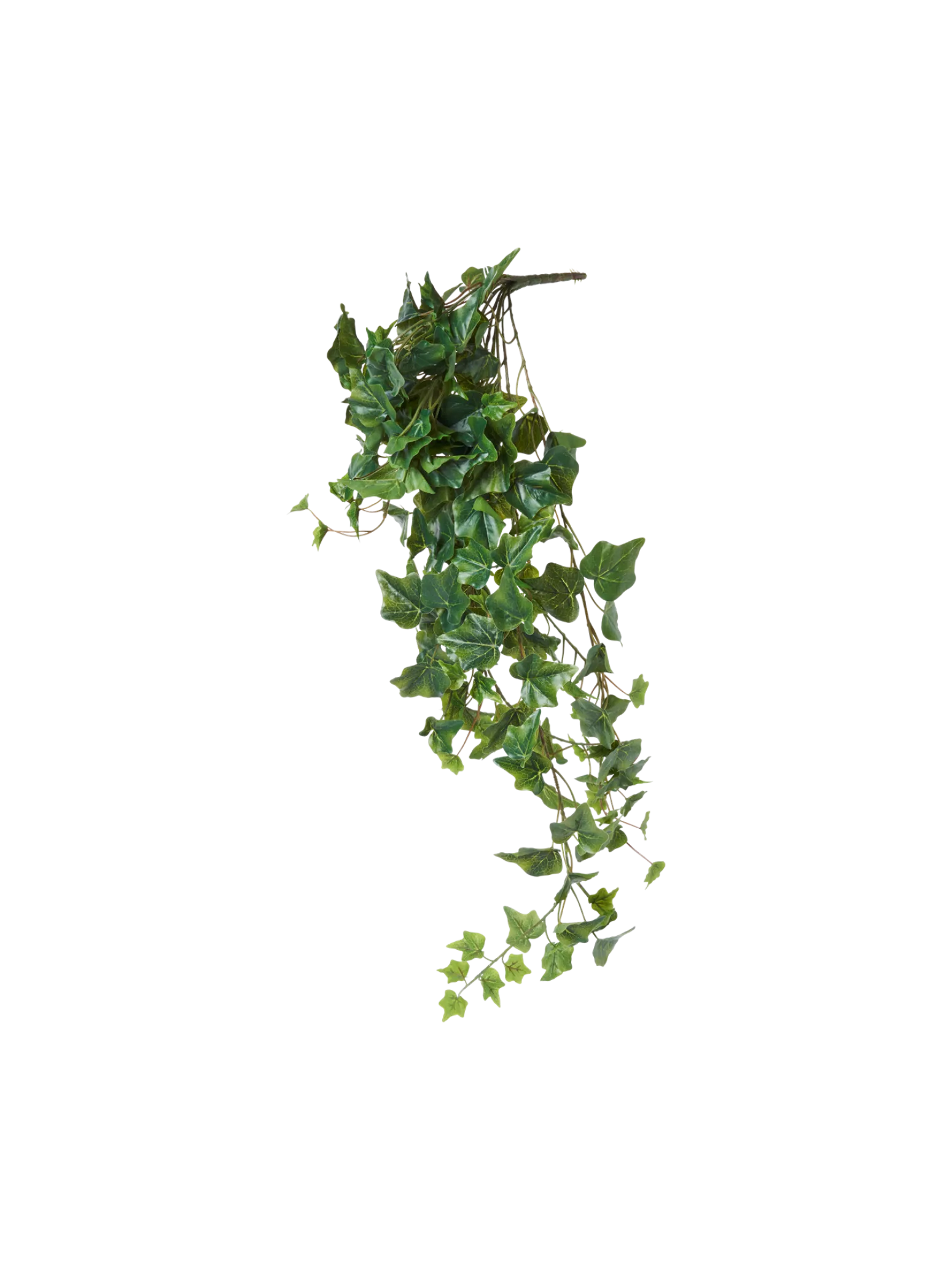 Søstrene Grene Schweiz Dekoration<Künstlicher Efeu