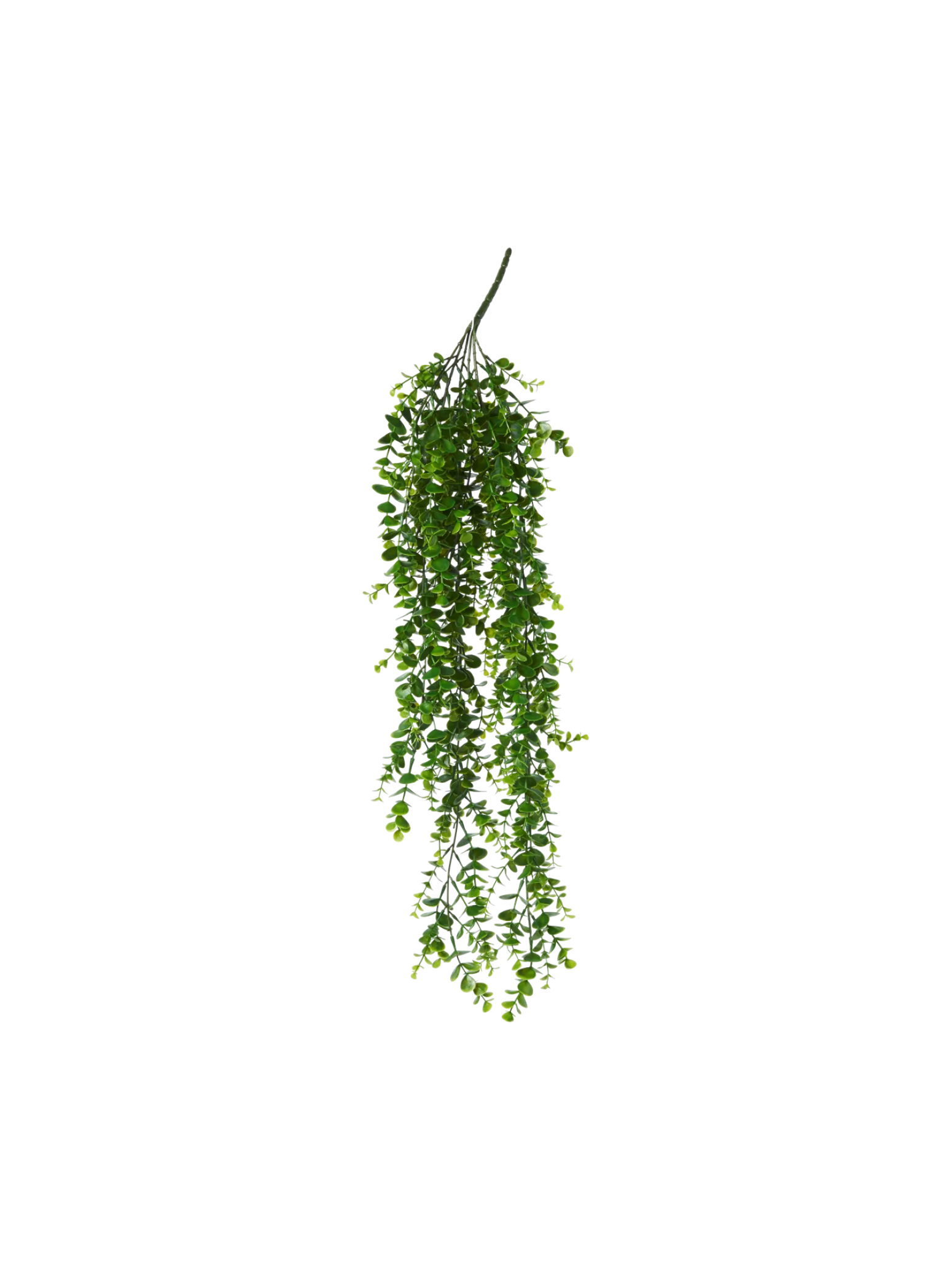 Søstrene Grene Schweiz Dekoration<Künstlicher Eukalyptus