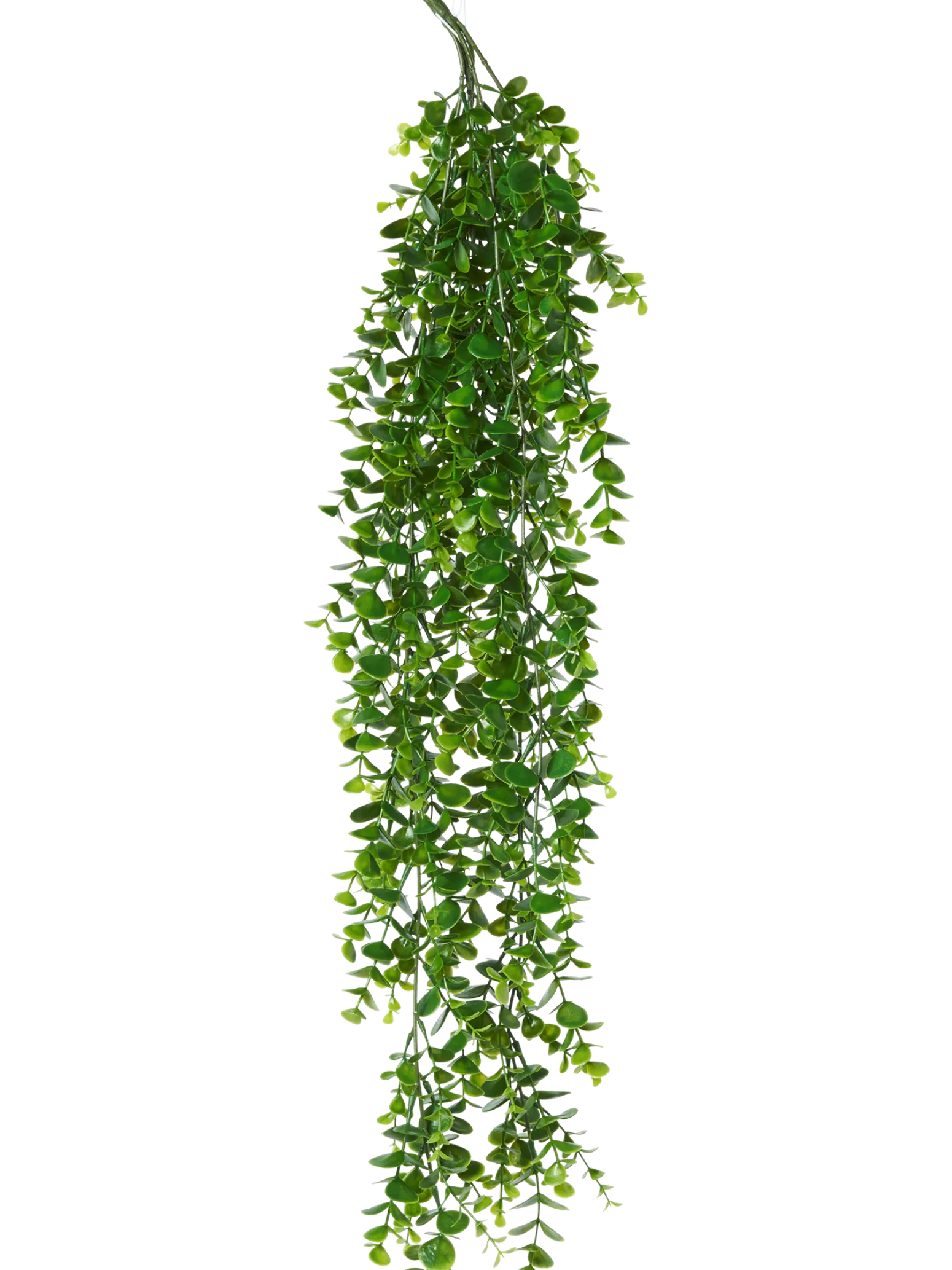 Søstrene Grene Schweiz Dekoration<Künstlicher Eukalyptus