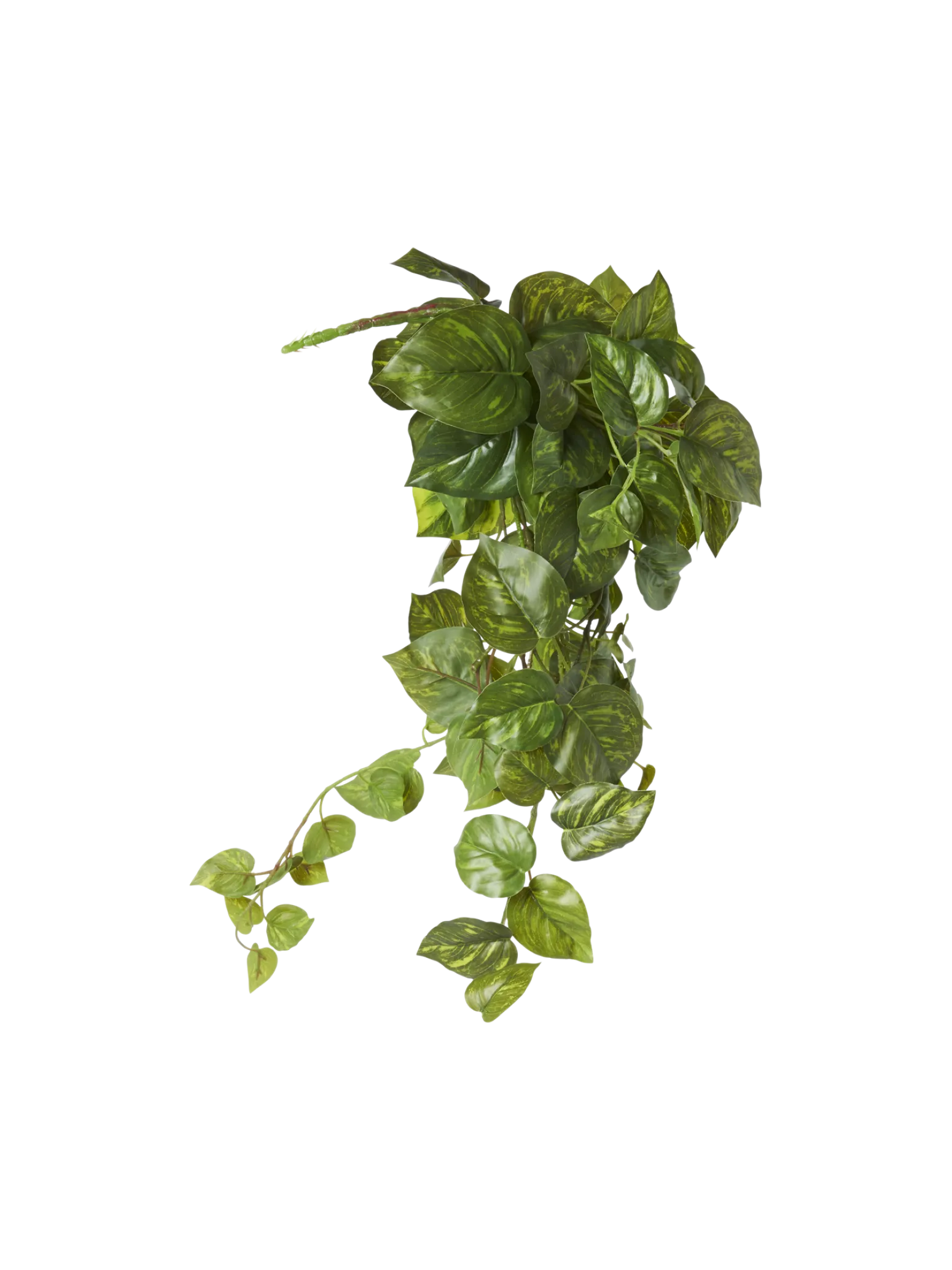 Søstrene Grene Schweiz Dekoration<Künstlicher Pothos