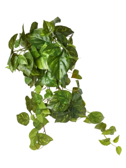 Søstrene Grene Schweiz Dekoration<Künstlicher Pothos