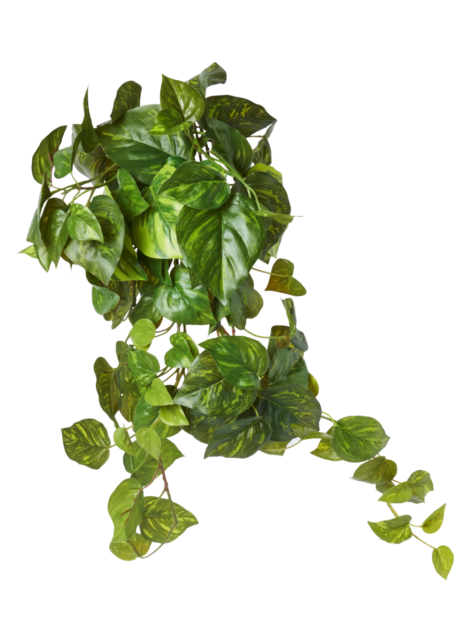 Søstrene Grene Schweiz Dekoration<Künstlicher Pothos