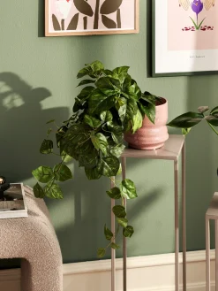 Søstrene Grene Schweiz Dekoration<Künstlicher Pothos