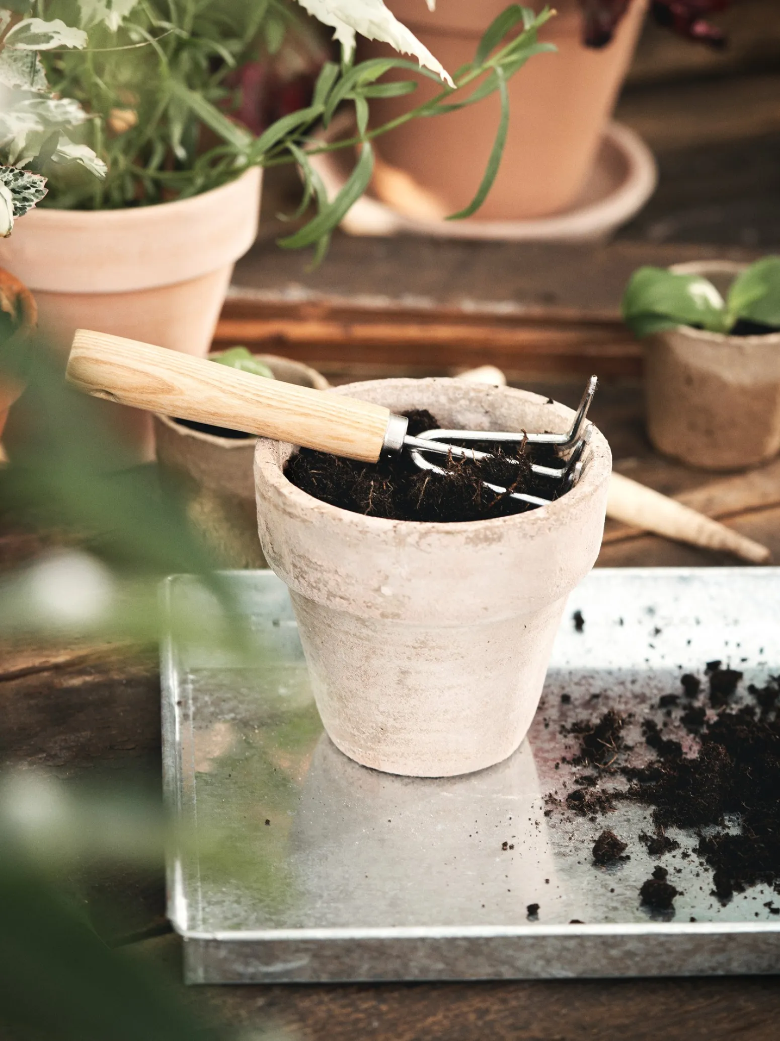 Søstrene Grene Schweiz Garten|Garten Und Balkon<Mini-Hake