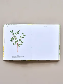 Søstrene Grene Schweiz Coffee Table Books<15-Minute Art Painting