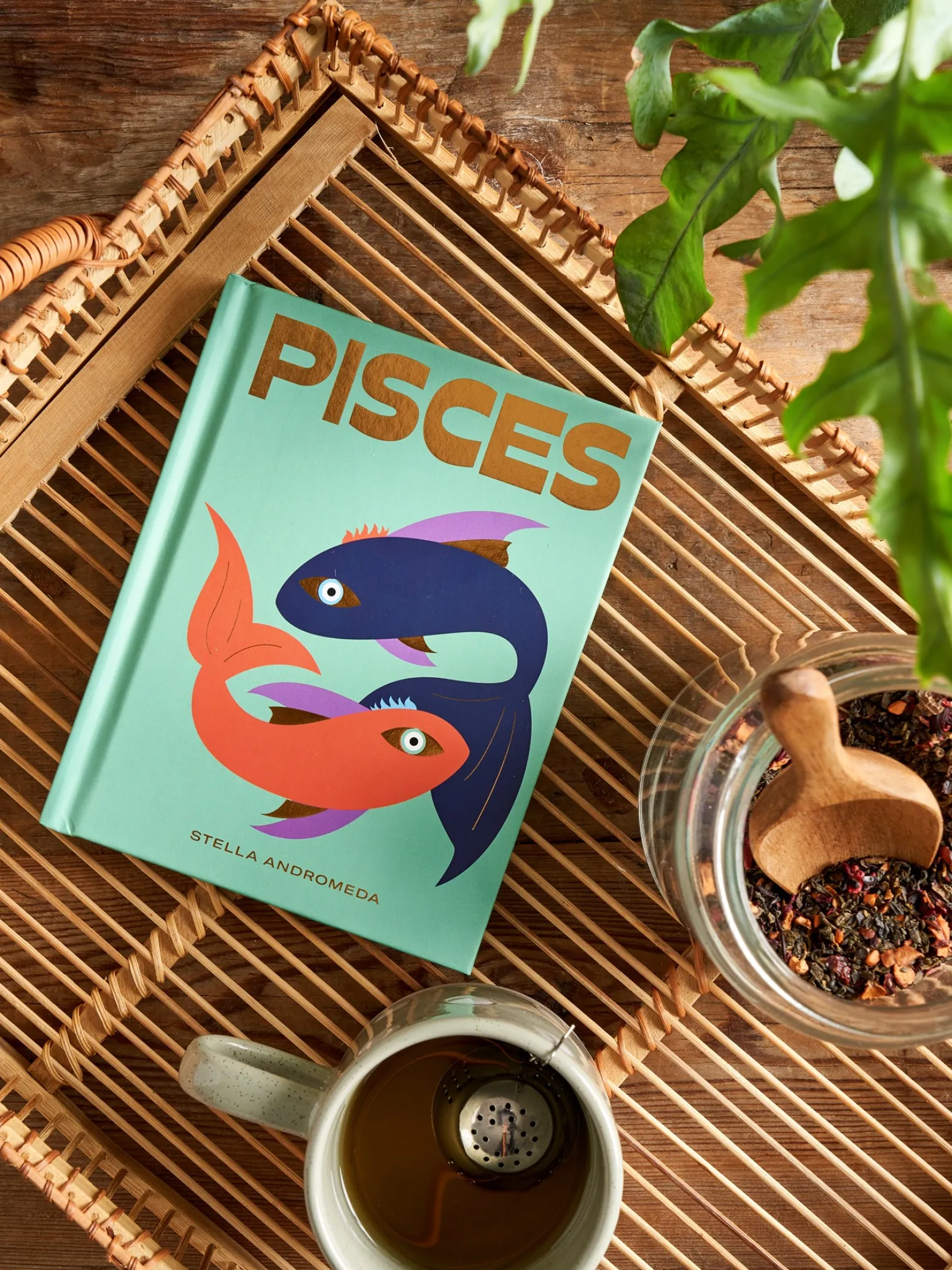 Søstrene Grene Schweiz Coffee Table Books<Pisces
