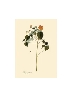 Søstrene Grene Schweiz Rahmen Und Poster<Poster A3