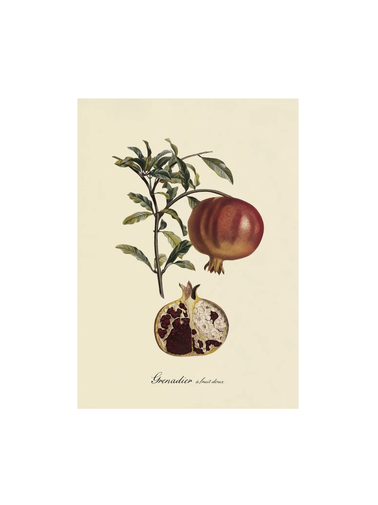 Søstrene Grene Schweiz Rahmen Und Poster<Poster A3