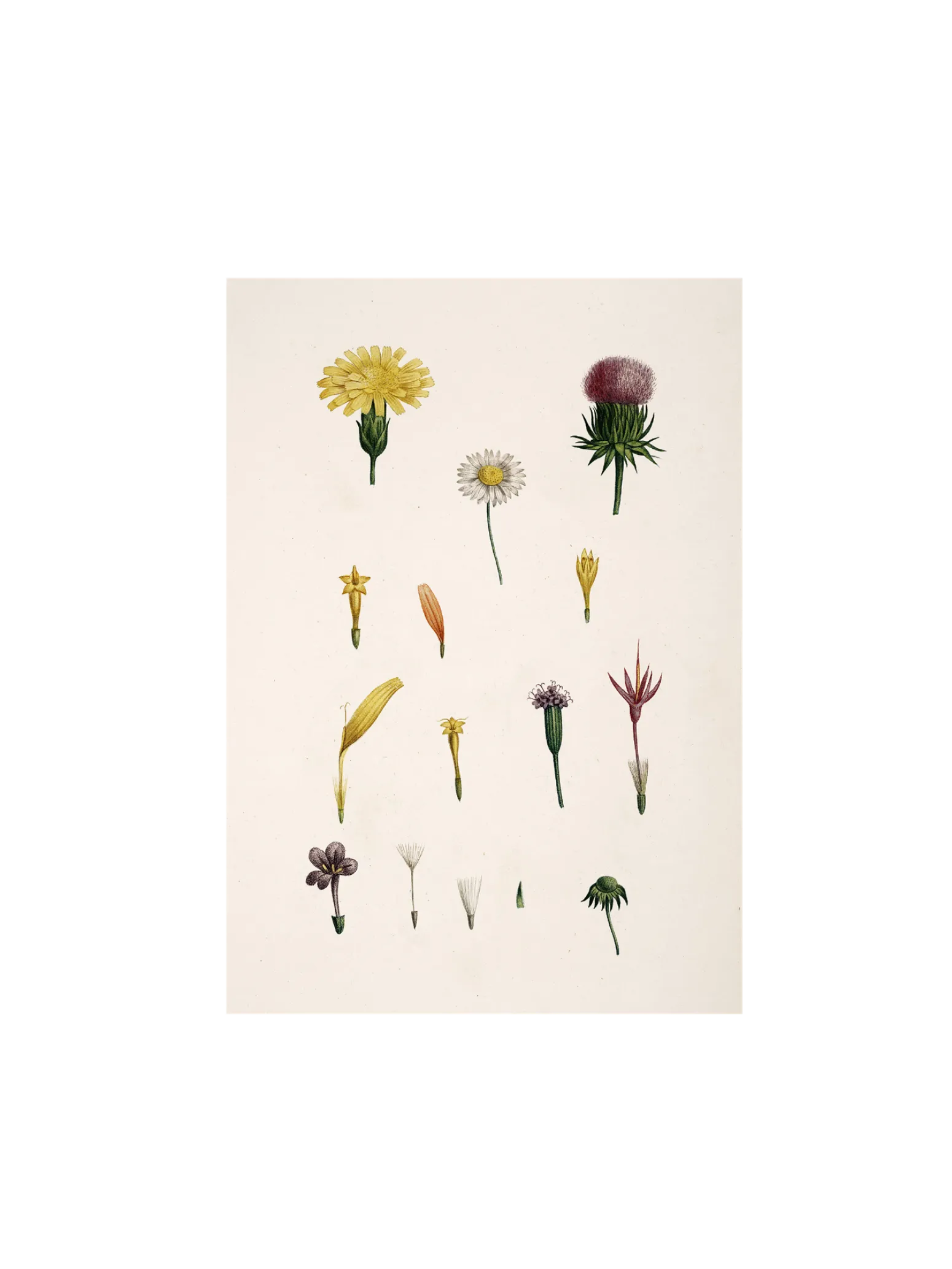 Søstrene Grene Schweiz Rahmen Und Poster<Poster A3