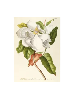 Søstrene Grene Schweiz Rahmen Und Poster<Poster 50 X 70