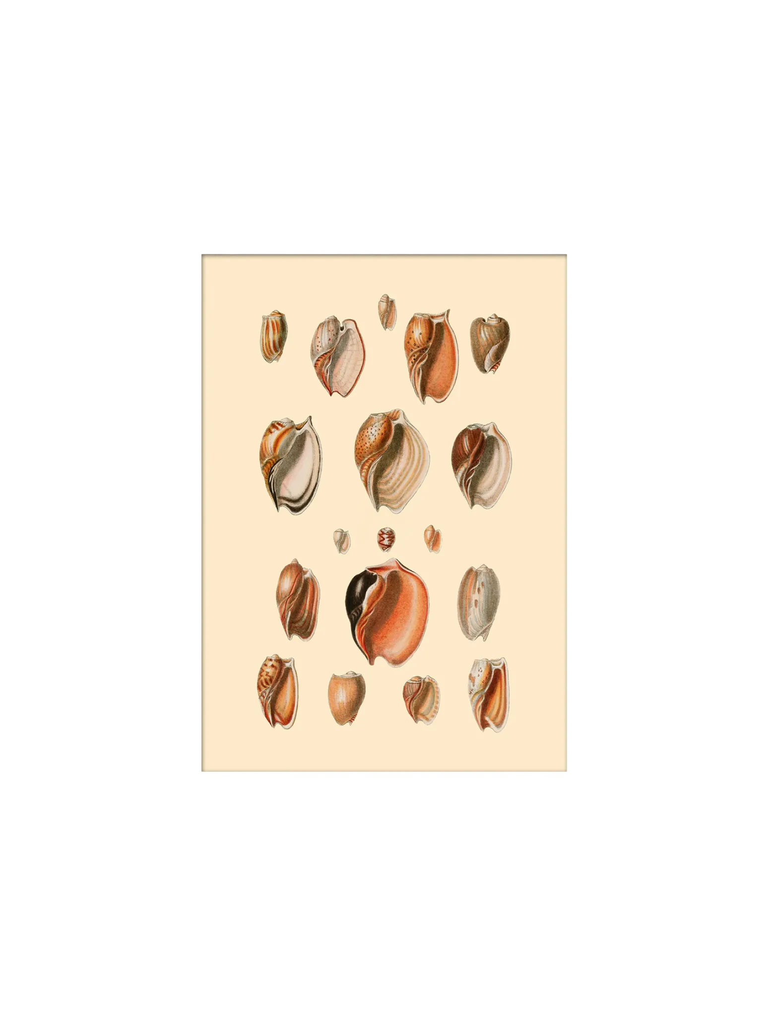 Søstrene Grene Schweiz Rahmen Und Poster<Poster 15 X 21