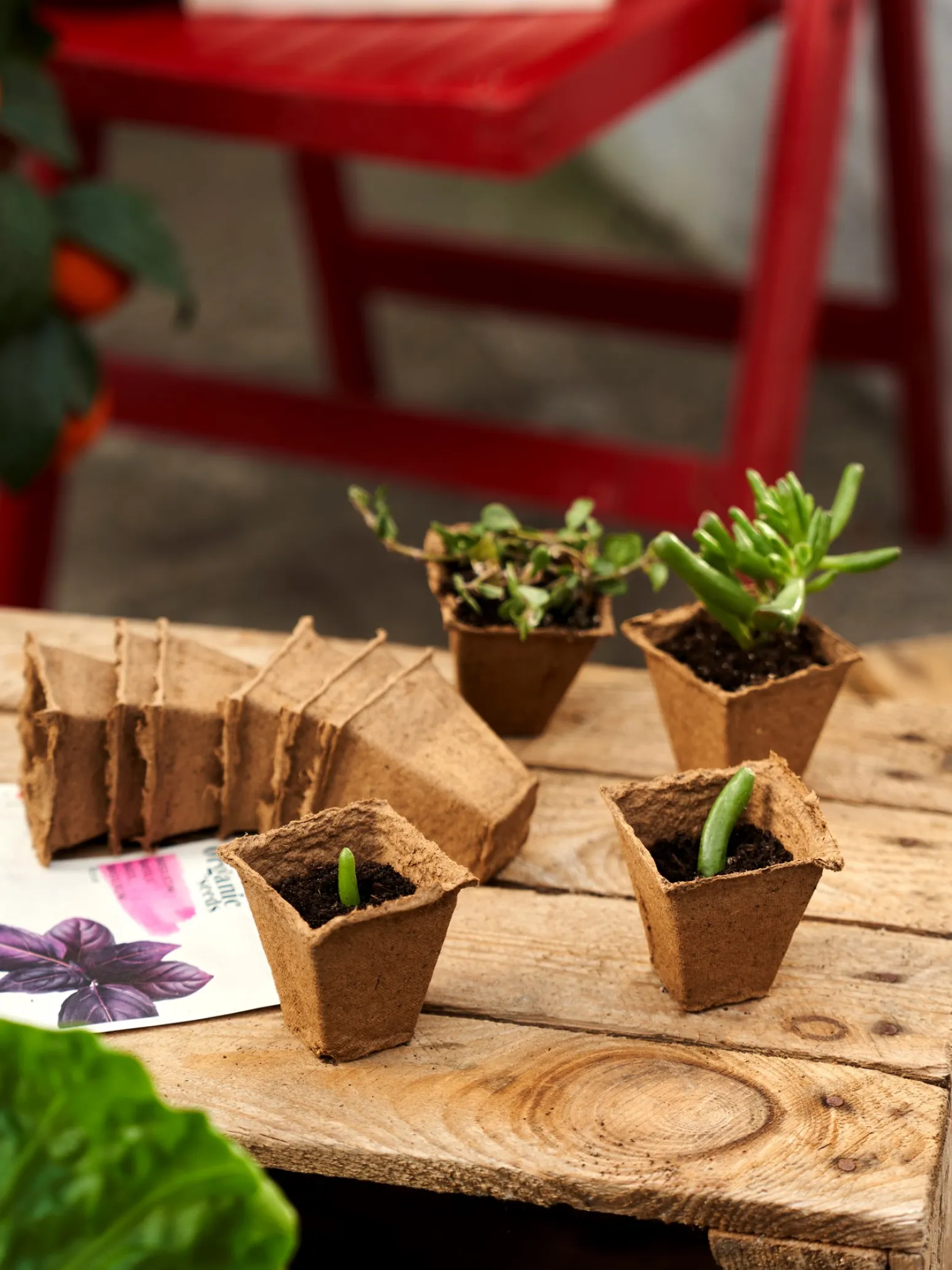 Søstrene Grene Schweiz Garten|Garten Und Balkon<SOGO Anzuchttöpfe