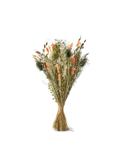 Søstrene Grene Schweiz Dekoration<Trockenblumen Orange Medium
