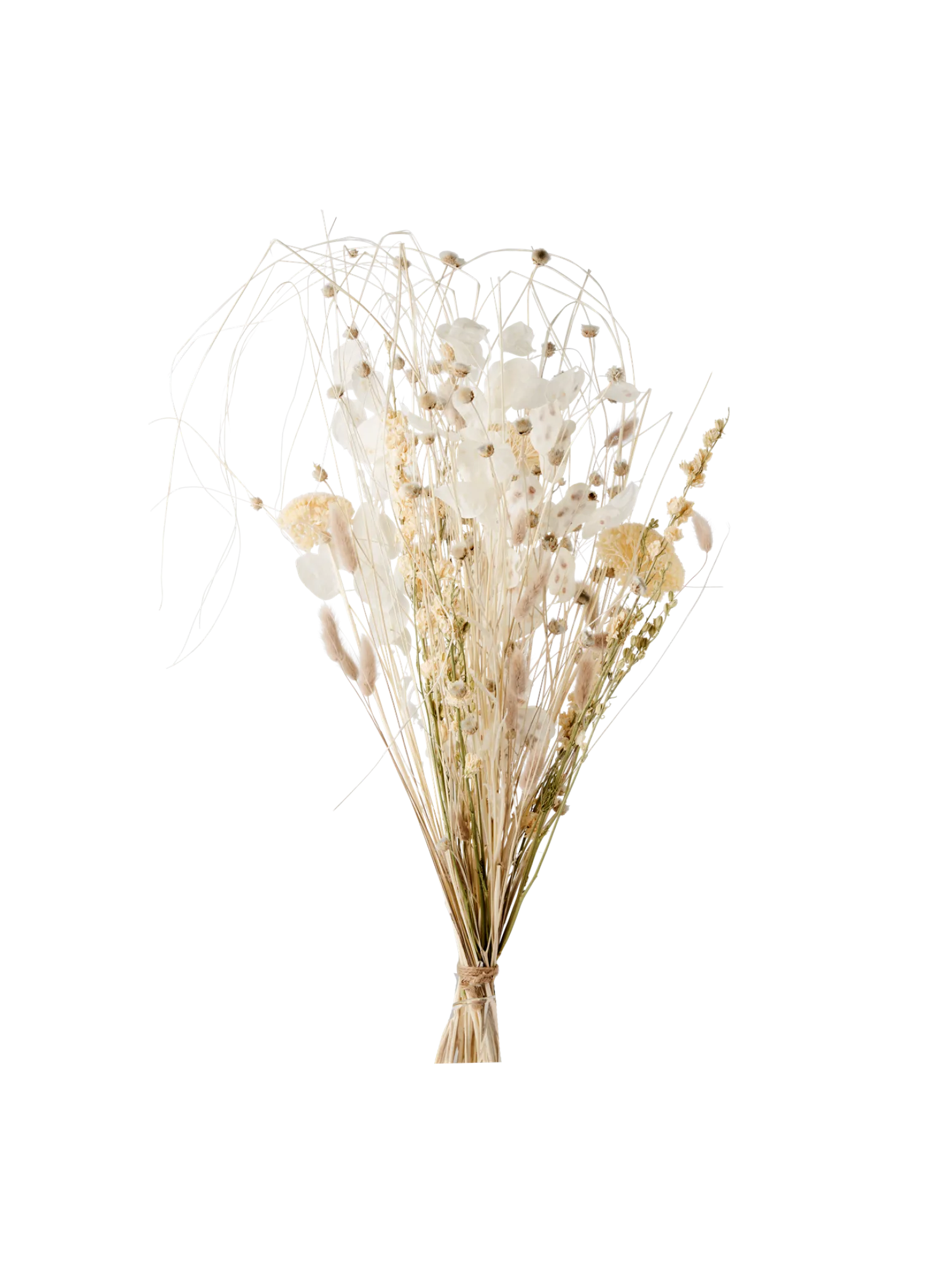 Søstrene Grene Schweiz Dekoration<Trockenblumen Patricia Medium